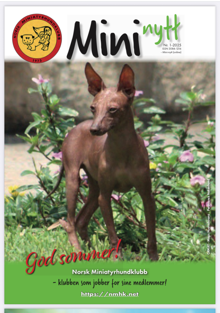 Peruviansk Nakenhund fra side 147 