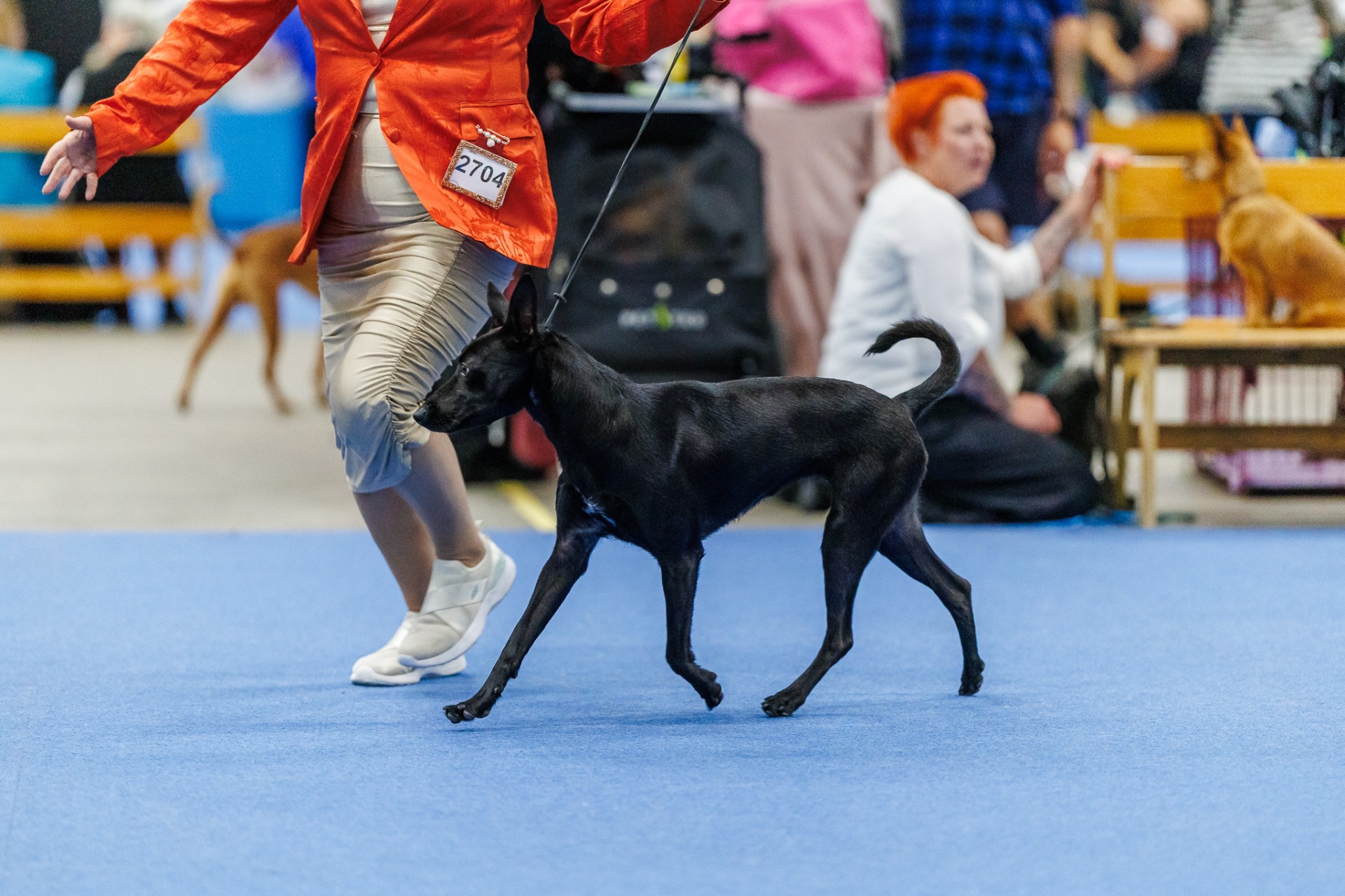 WDS CIRCUIT 7. AUGUST 2025 BB2 RES CAC. Foto: Aino Toivonen