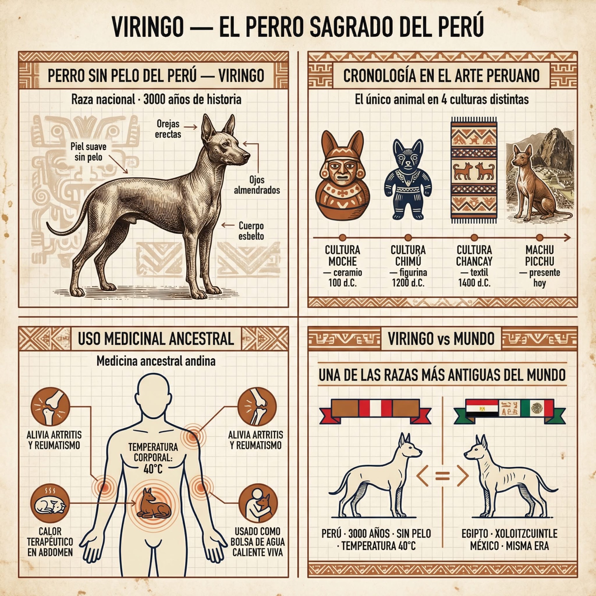 Kopiert fra Histoprediendo 🇵🇪